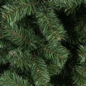 Hustota koruny Jedle Santa