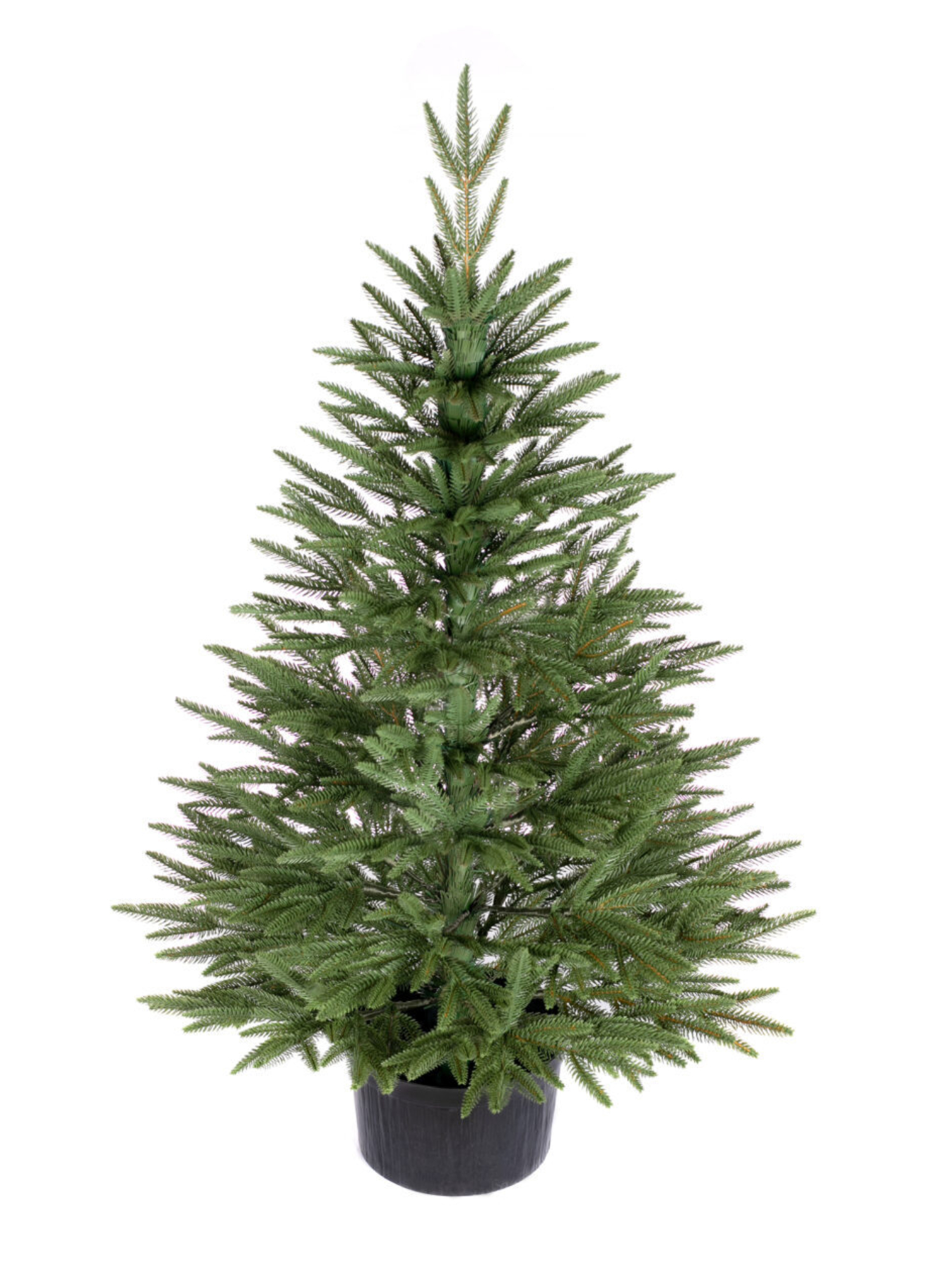 Smrk Nordic 3D v květináči