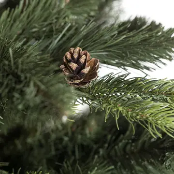 Prirodni siska na Borovici Pola