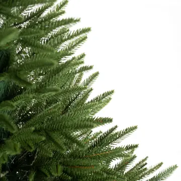 Větvičky Smrku Nordic zblízka