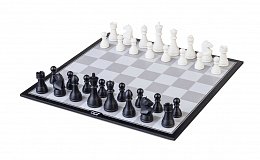 DGT Pegasus - online šachovnice