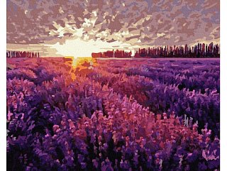 Malování podle čísel - Západ slunce v Provence - 50 × 65 cm 