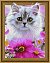 Diamantové malování - Roztomilé kotě - 40x50cm 