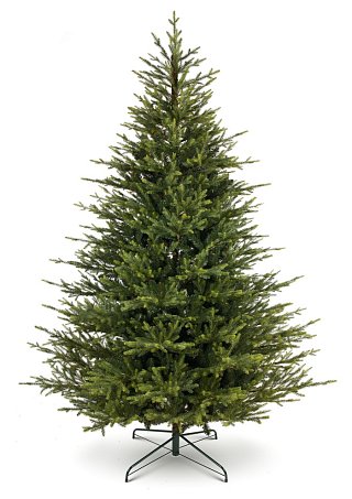 Smrk Norský 3D 230 cm