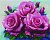 Diamantové malování - Krásné růže - 40x50 cm