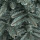 Umělý vánoční stromeček Jedle Aspect 2D silver detail větvičky