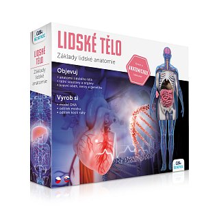Lidské tělo 