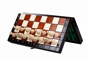 Magnetické šachy střední