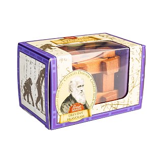 Dřevěný hlavolam Great Minds - Darwin 