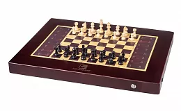 Automatizovaný a chytrý šachový počítač - Grand King