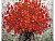 Diamantové malování - Červená kytice - 40x50 cm