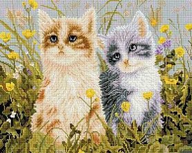 Diamantové malování - Koťata v květinách - 40x50cm