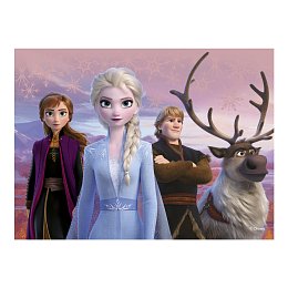 Dřevěné kostky Frozen II – 12 kostek